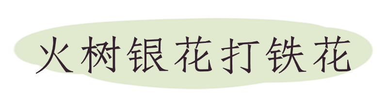 https://tms.lwmysz.com/uploads/default/2024/03/18/88269afed728b3abf978b169a9e31ef6.png