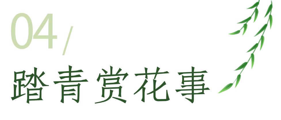 https://tms.lwmysz.com/uploads/default/2024/03/18/9ca23d4276216cf530a077dd392e2a97.png