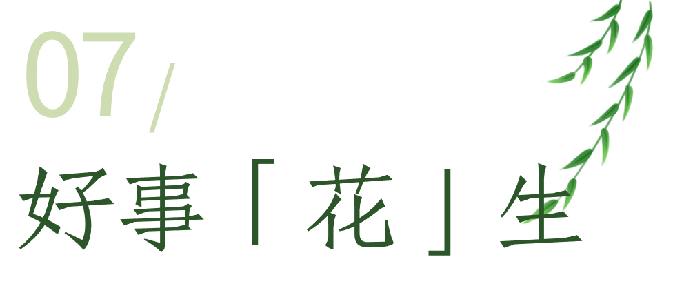 https://tms.lwmysz.com/uploads/default/2024/03/18/ea4dff78c2c1c2e493bbe25ff7cae0c6.png